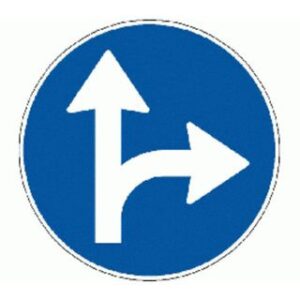 Signal 2.40 Geradeaus oder Rechtsabbiegen